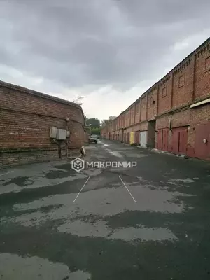 Фото к объявлению #21250528