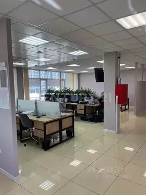 Фото к объявлению #22219593