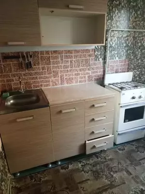 Фото к объявлению #22258402