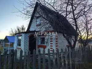 Фото к объявлению #21440453