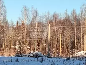 Фото к объявлению #22269954