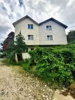 Фото к объявлению #22255135