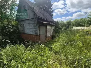 Фото к объявлению #22221437