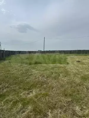 Фото к объявлению #22083472