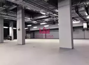 Фото к объявлению #20173805