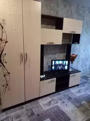 Фото к объявлению #20284732