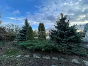 Фото к объявлению #22112890