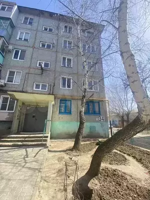 Фото к объявлению #20879765
