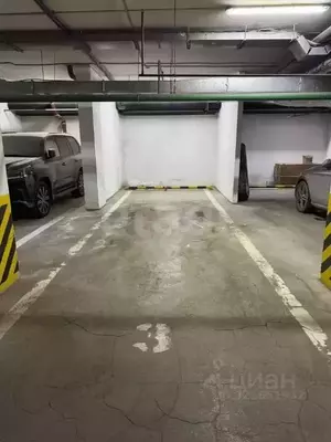 Фото к объявлению #22181910