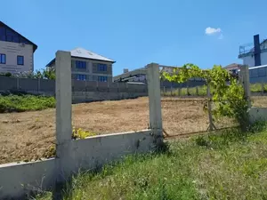 Фото к объявлению #22097540