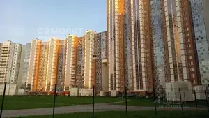 Фото к объявлению #22177441