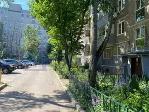 Фото к объявлению #20778437