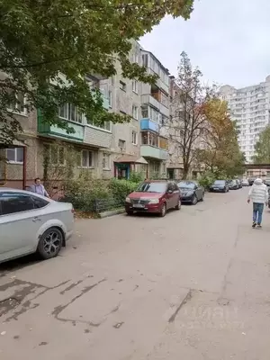 Фото к объявлению #22185824