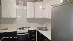 Фото к объявлению #21184779