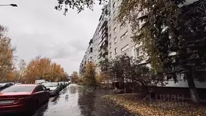 Фото к объявлению #22195931