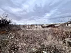 Фото к объявлению #22058600