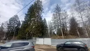 Фото к объявлению #22256673