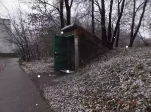 Фото к объявлению #22111771