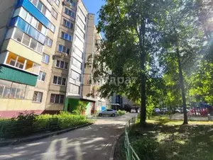 Фото к объявлению #20261846