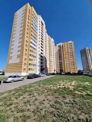 Фото к объявлению #22203138