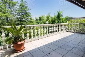 Фото к объявлению #22289538