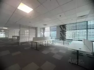 Фото к объявлению #22253462