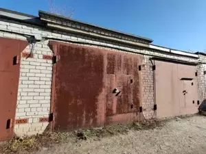 Фото к объявлению #20167836