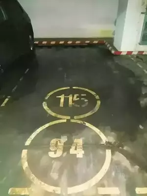 Фото к объявлению #21726335