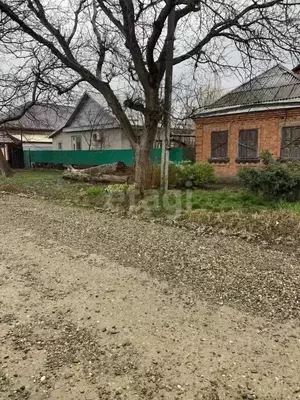 Фото к объявлению #20259668