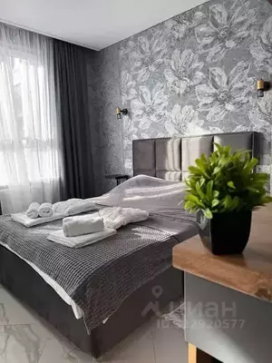 Фото к объявлению #22258390