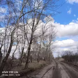 Фото к объявлению #22130139