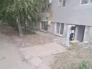 Фото к объявлению #22185488