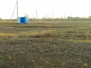 Фото к объявлению #22235588