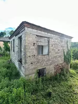 Фото к объявлению #20189303