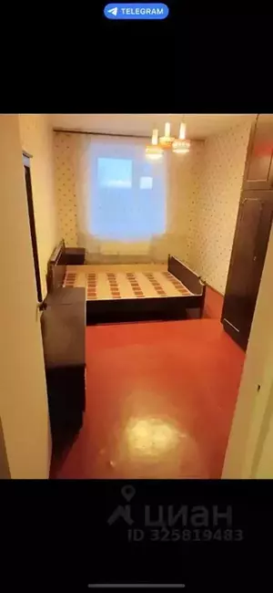 Фото к объявлению #22269249