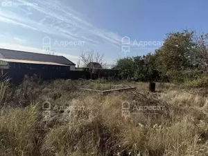 Фото к объявлению #22209621