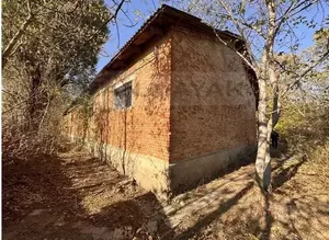 Фото к объявлению #22260381