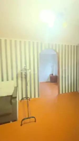 Фото к объявлению #21240348