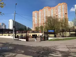 Фото к объявлению #20732577