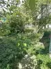 Фото к объявлению #