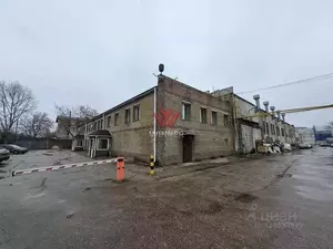 Фото к объявлению #21993357