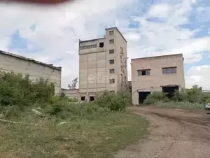 Фото к объявлению #20264910