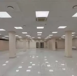 Фото к объявлению #22289500