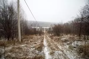 Фото к объявлению #22214280