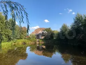 Фото к объявлению #19750183