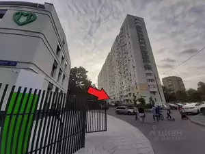 Фото к объявлению #21578837