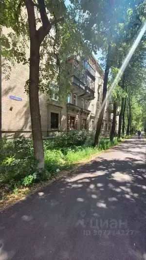 Фото к объявлению #21029460