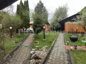 Фото к объявлению #19799196