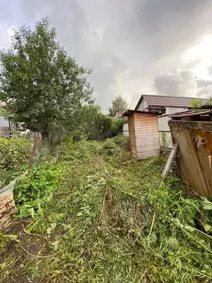 Фото к объявлению #21011886