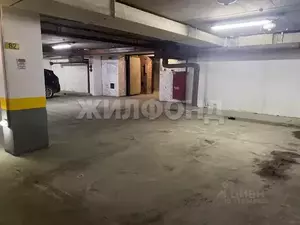 Фото к объявлению #22088715